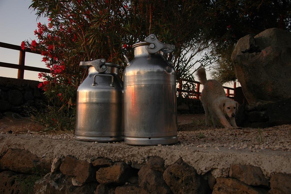 Agriturismo Codula Fuili Cala Gonone Exterior foto