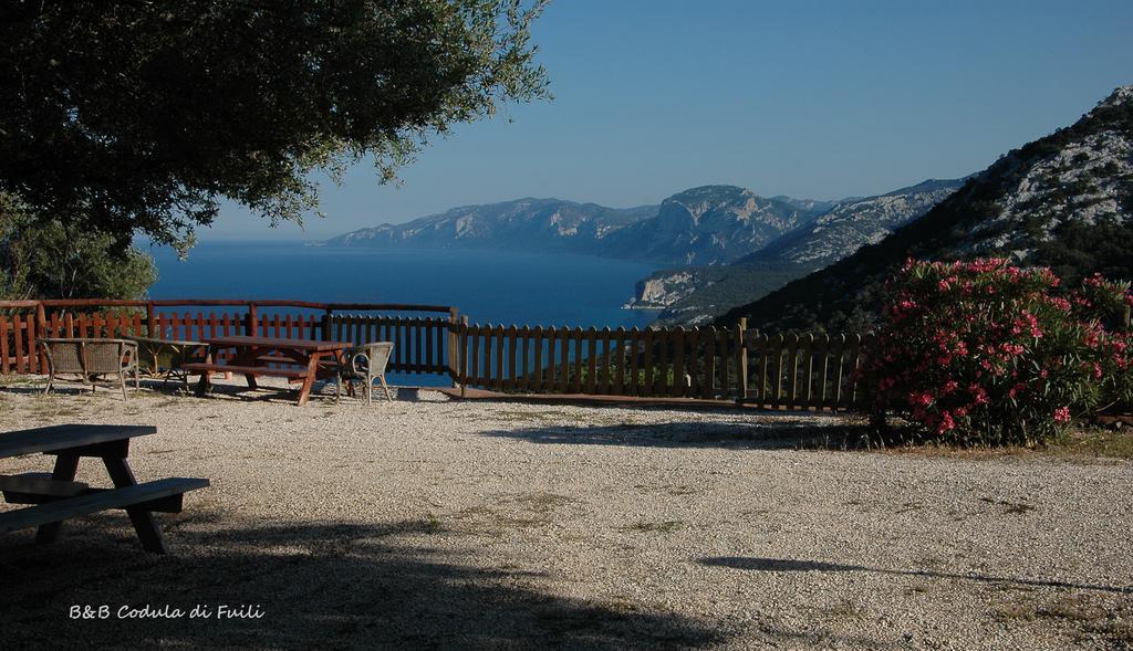 Agriturismo Codula Fuili Cala Gonone Quarto foto
